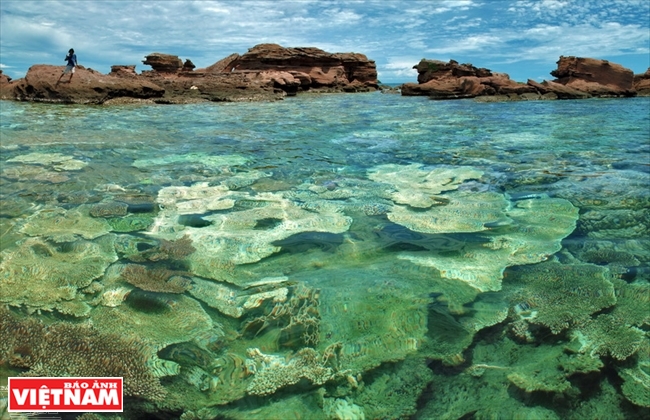 Нетронутая красота Антхой