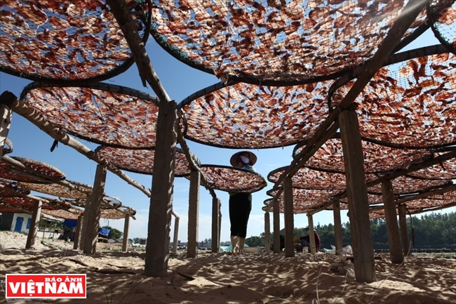 サーフイン（Sa Huynh）の海産物