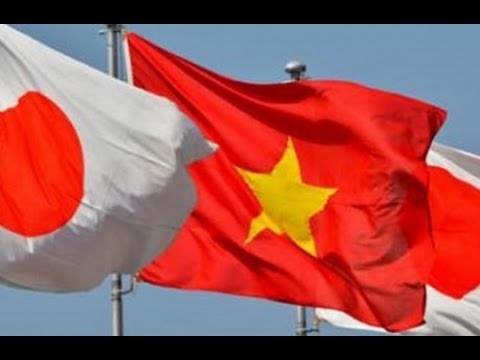 ベトナム、日本・メコン協力で活躍