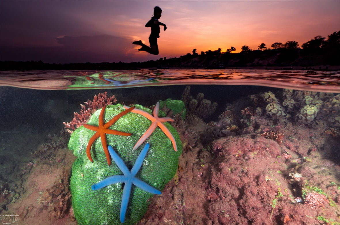 Photographer brings out the beauty of the ocean - Vietnam Pictorial - Vimarsana News